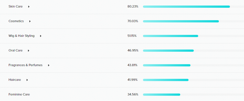 TikTok Audience Segmentation