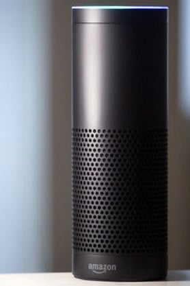 Alexa Voice Search