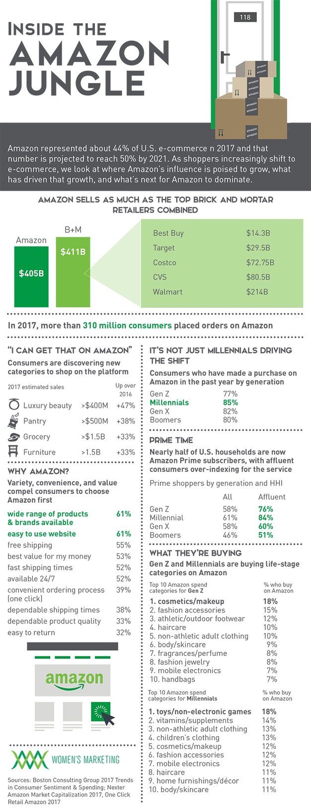 AmazonJungle_Infographic.jpg