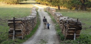 fathers day social media contests