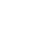 Big Y
