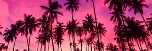 Summer_Travel