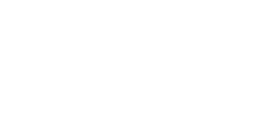 Google Premier Partner badge
