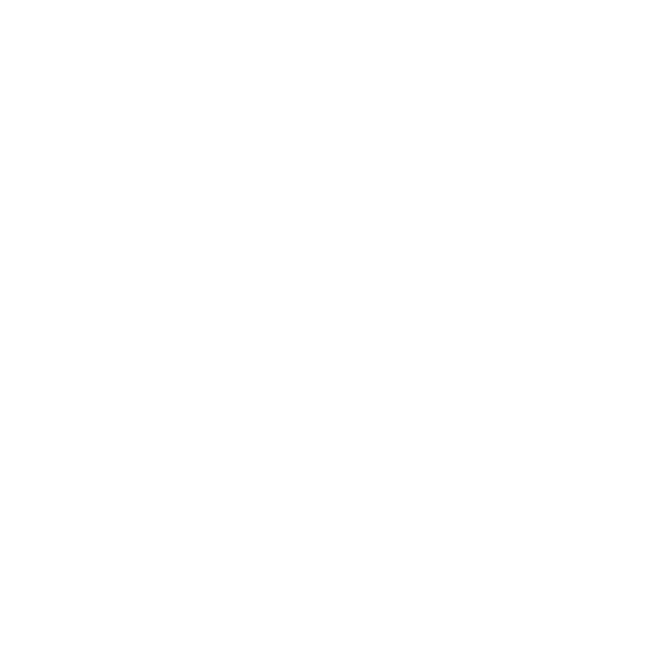 Stella Rising Digital Media Marketing Agency Nyc